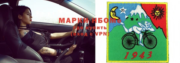 прущие грибы Карпинск