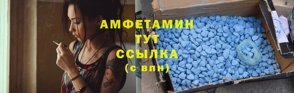 прущие грибы Карпинск