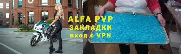 PSILOCYBIN Карталы