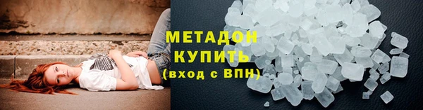 прущие грибы Карпинск