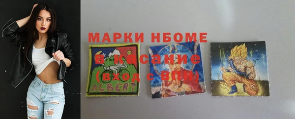 амф Касимов