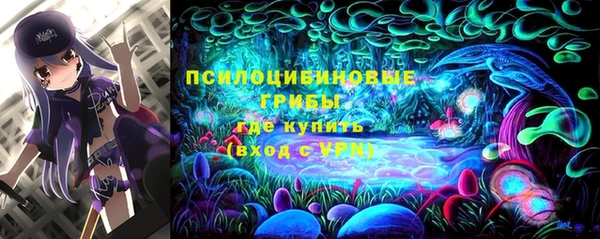 амф Касимов