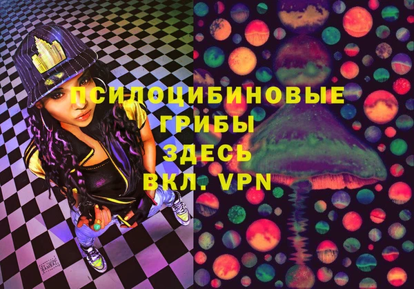 PSILOCYBIN Карталы