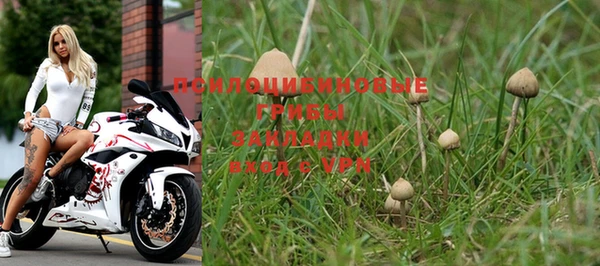 PSILOCYBIN Карталы