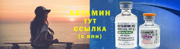 прущие грибы Карпинск