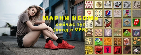 прущие грибы Карпинск