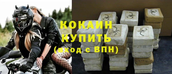 прущие грибы Карпинск
