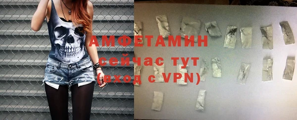 прущие грибы Карпинск