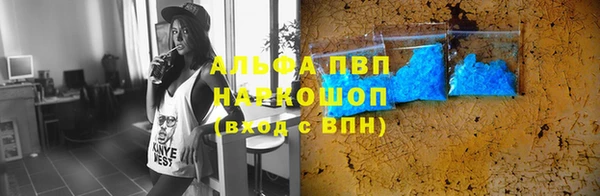 PSILOCYBIN Карталы