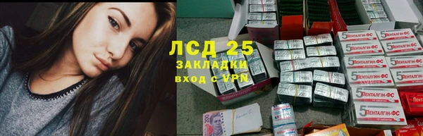 прущие грибы Карпинск