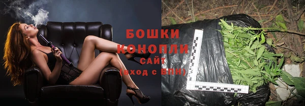 амф Касимов