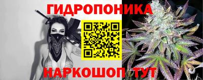 гашик Донецк