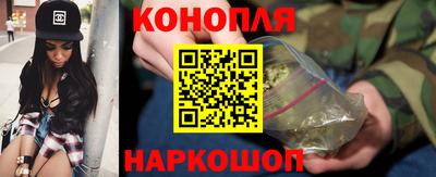 гашик Донецк