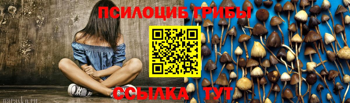 Псилоцибиновые грибы GOLDEN TEACHER Лесосибирск