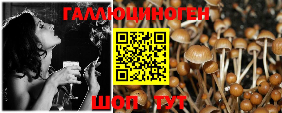 Псилоцибиновые грибы мухоморы Лесосибирск