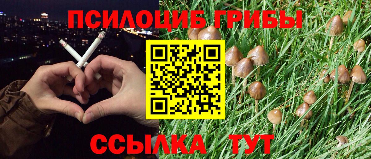 Псилоцибиновые грибы GOLDEN TEACHER  Вход с VPN  Лесосибирск 